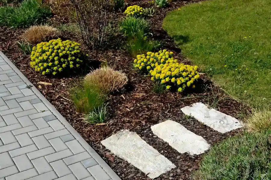 What To Expect During A Professional Mulching Service Manassas, VA What To Expect During A Professional Mulching Service Manassas, VA